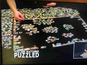 puzzle guy